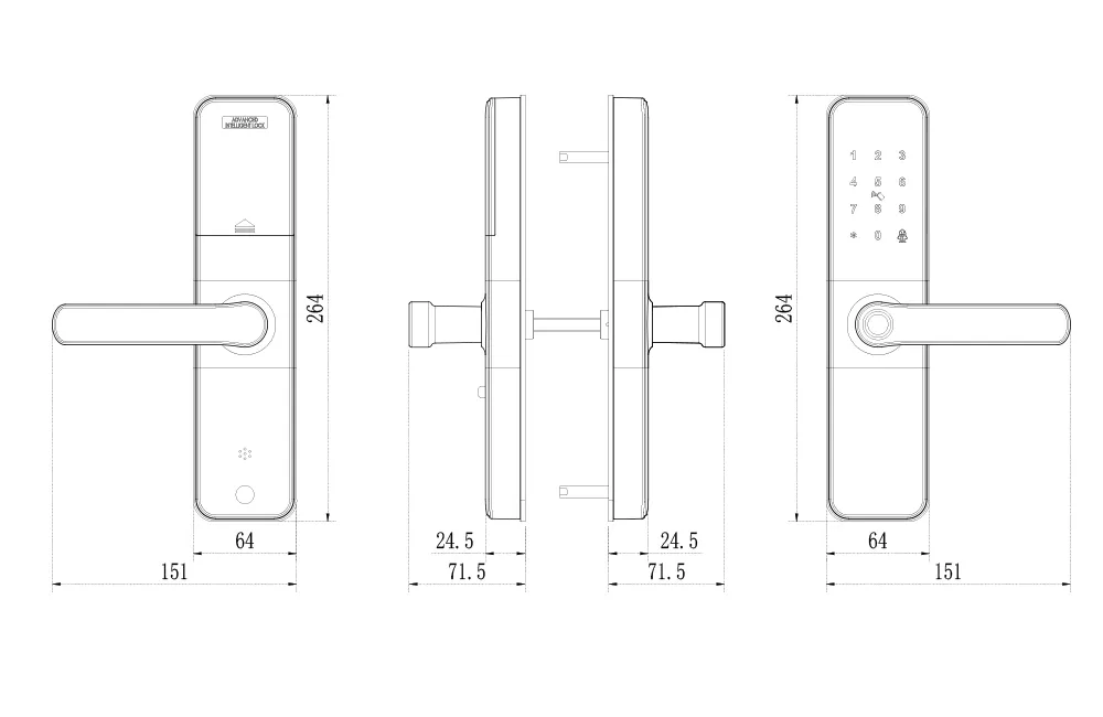 WiFi Fingerprint Handle Door Lock Long Distance Control Electronic Tuya APP