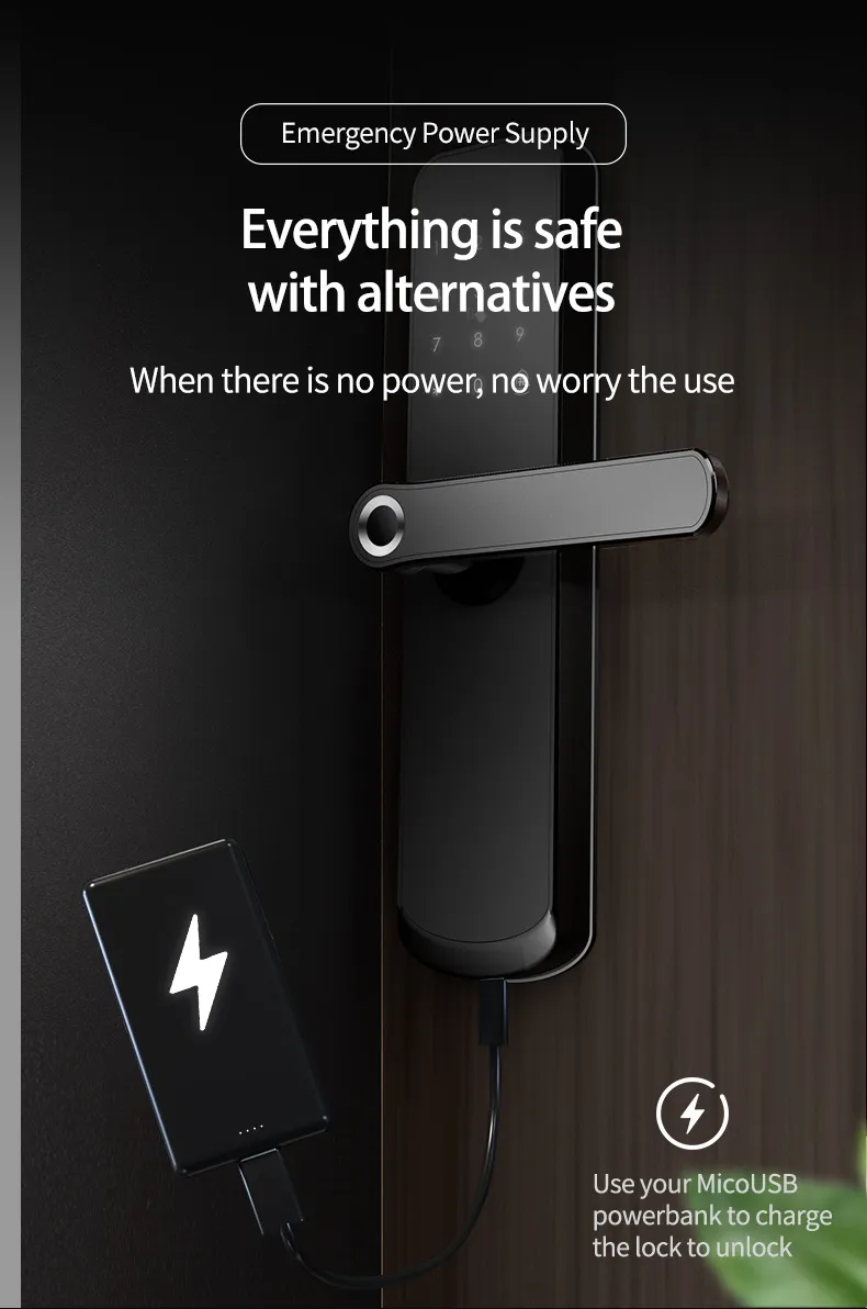 Hot Selling Biometric Waterproof Home Main Gate Digital Door Tuya Lock