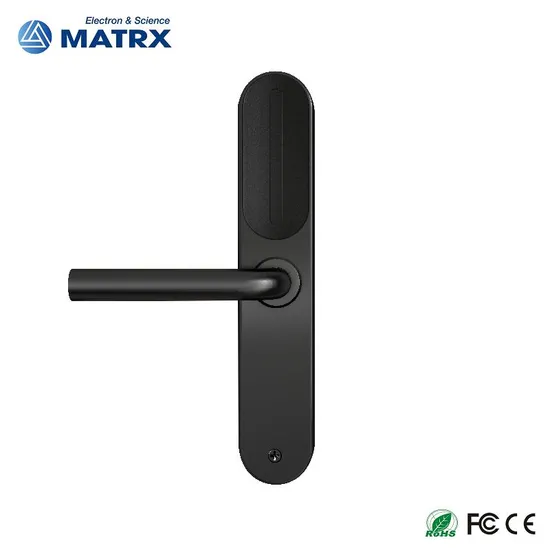 2023 304 Stainless Steel Smart Door Lock with Ttlock APP