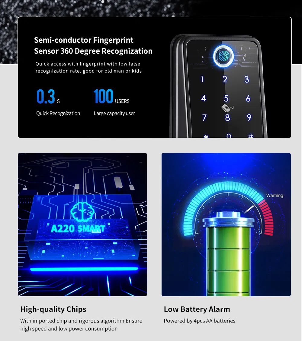 Electronic Fingerprint WiFi Tuya Code RFID Card Smart Door Lock