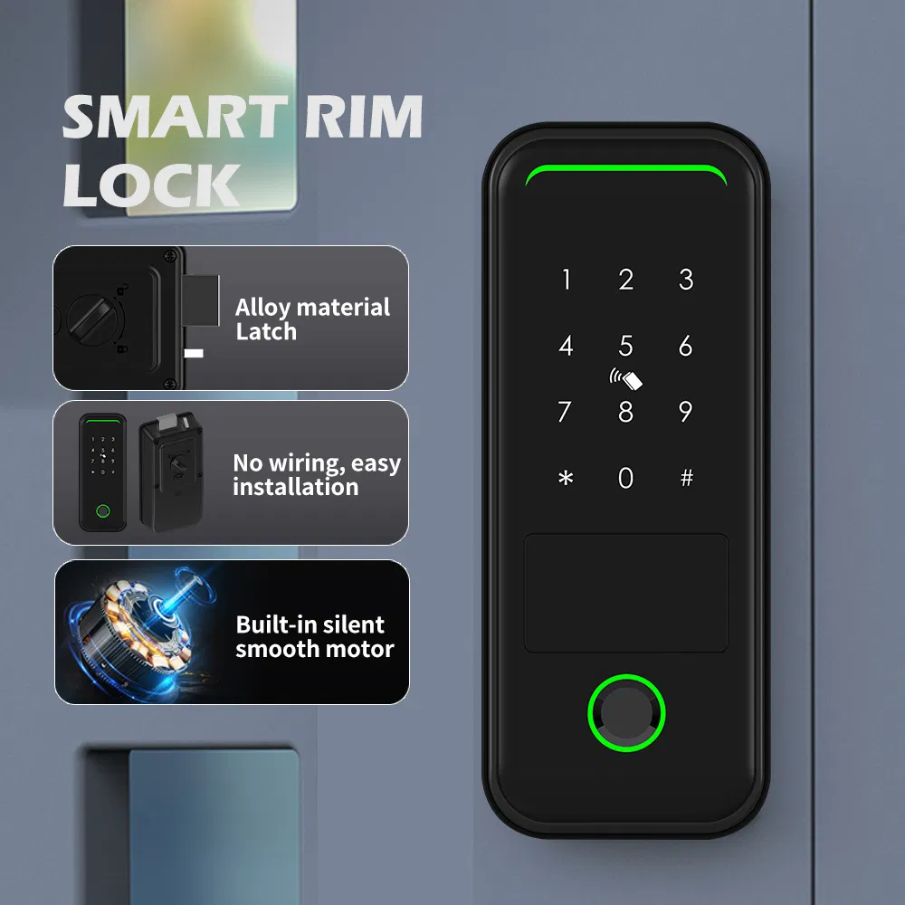 2024 New Design Tuya Rim Lock