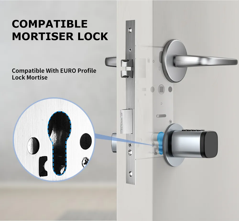 Digital Biometric Fingerprint and Password Intelligent Cylinder Smart Lock with Ttlock APP