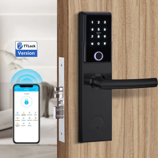 Fingerprint Ttlock Electronic Digital Lock