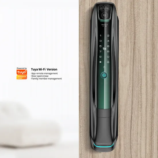 High Security Intelligent Biometric Tuya WiFi 3D Face ID Lock