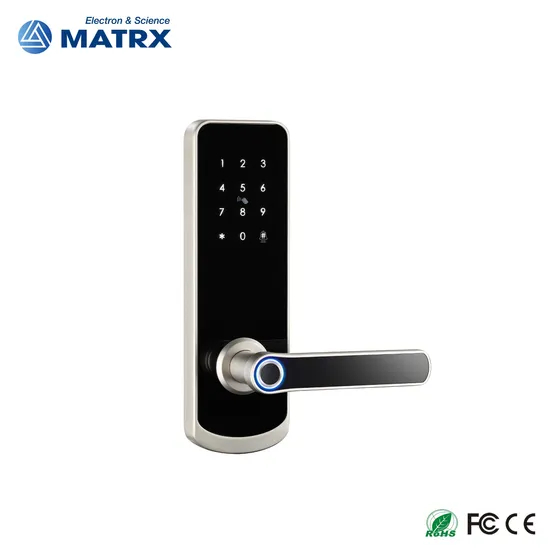 Door Handle Wireless Biometric Fingerprint Digital Cylinder WiFi Smart Door Locks