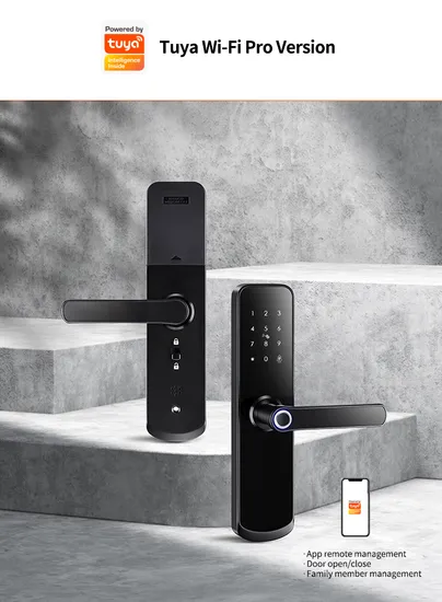 Biometric Updated Stock Elegent Door Gate Tuya WiFi Smart Lock