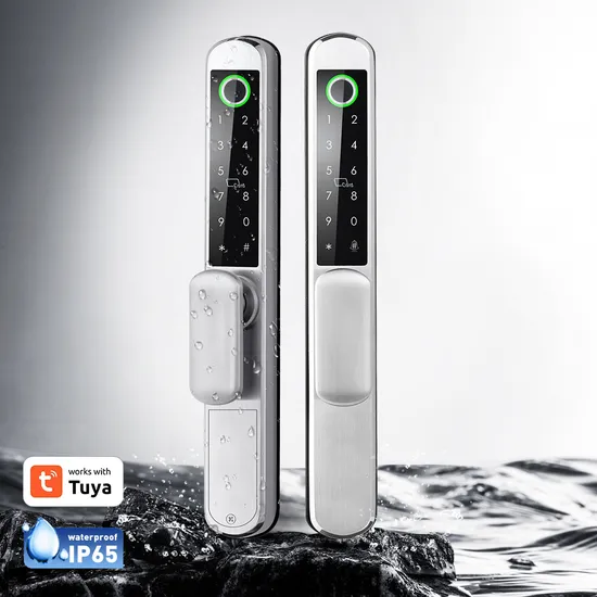 IP65 Double-Sided Fingerprint Stainless Steel Smart Lock with Tuya System