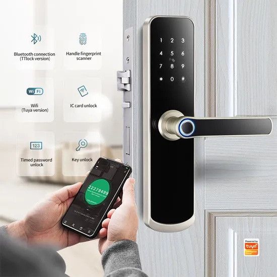 Hot Selling Biometric Waterproof Home Main Gate Digital Door Tuya Lock