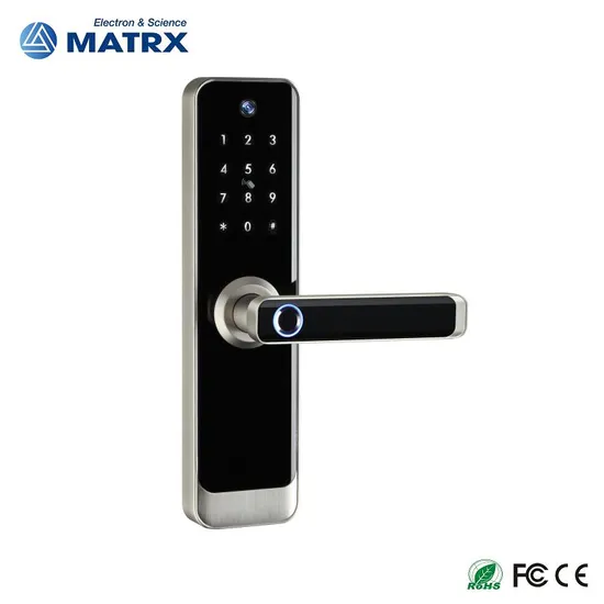 Tuya Smart Electronic Lock with Camera Electronic Cat Eye
