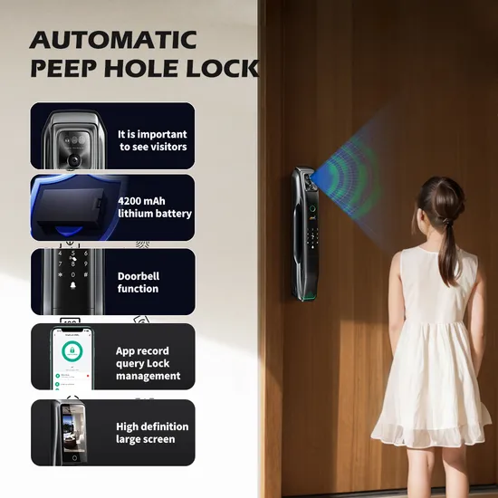 2024 New Product 6085 Mortise Luxury Matt Black Automatic 9 Languages 3D Face Recognition Smart Door Lock