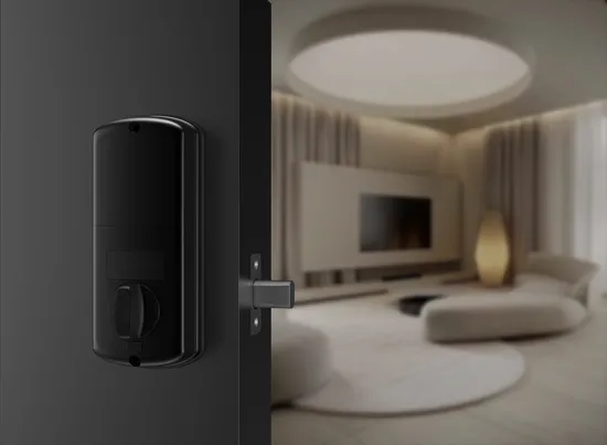 Ttlock APP Remote Control Biometric Fingerprint Password Smart Door Lock