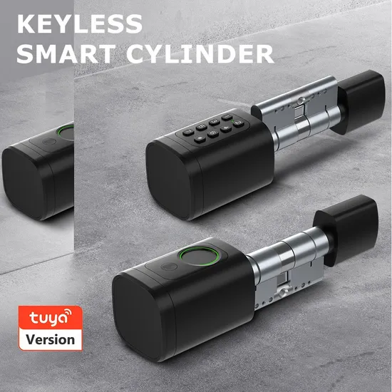 Good Quality Tuya Remote Control Fingerprint and Password Hardware Smart Door Lock
