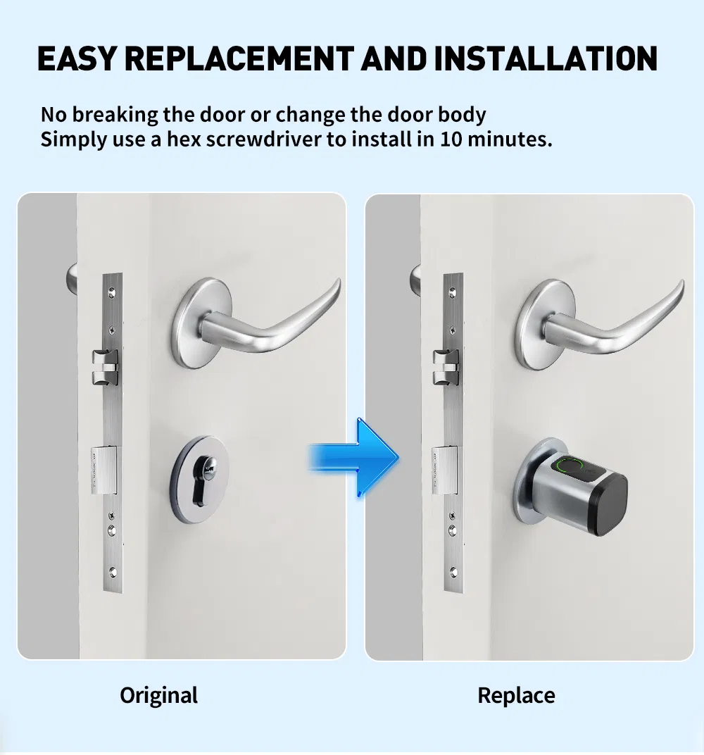 Digital Biometric Fingerprint and Password Intelligent Cylinder Smart Lock with Ttlock APP