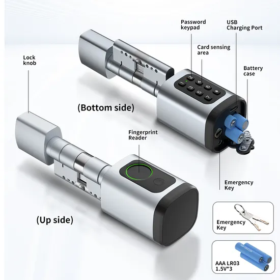 Digital Biometric Fingerprint and Password Intelligent Cylinder Smart Lock with Ttlock APP
