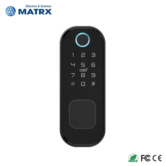 Dual Side Fingerprint Security Rim Lock Smart Lock Ttlock APP