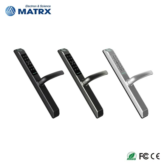 Glass Door and Wooden Door Pull Handle Electronic Security Lock Ttlock Smart Door Lock