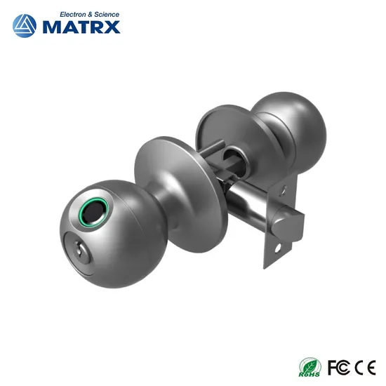 2025 New Model Tuya APP Fingerprint Digital Round Knob Ball Door Lock