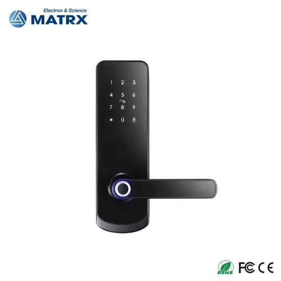 Door Handle Wireless Biometric Fingerprint Digital Cylinder WiFi Smart Door Locks