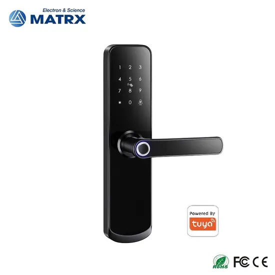 Biometric Updated Stock Elegent Door Gate Tuya WiFi Smart Lock