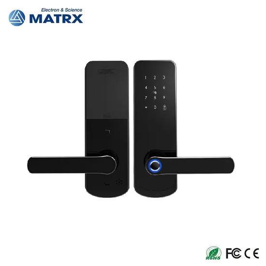 OEM Cutomizied with Tuya APP Fingerprint Cylinder Smart Door Lock