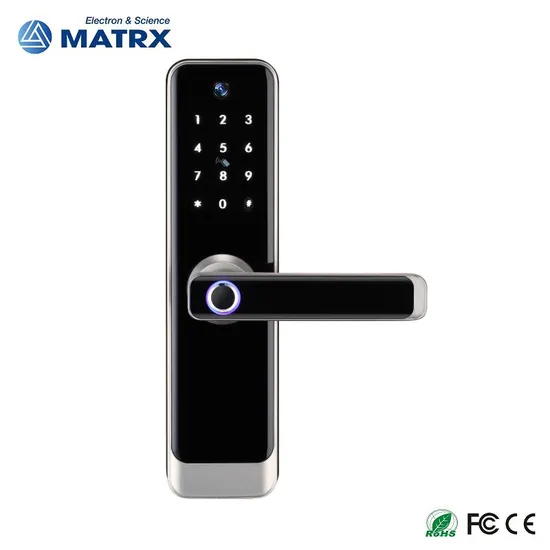 Tuya Smart Electronic Lock with Camera Electronic Cat Eye