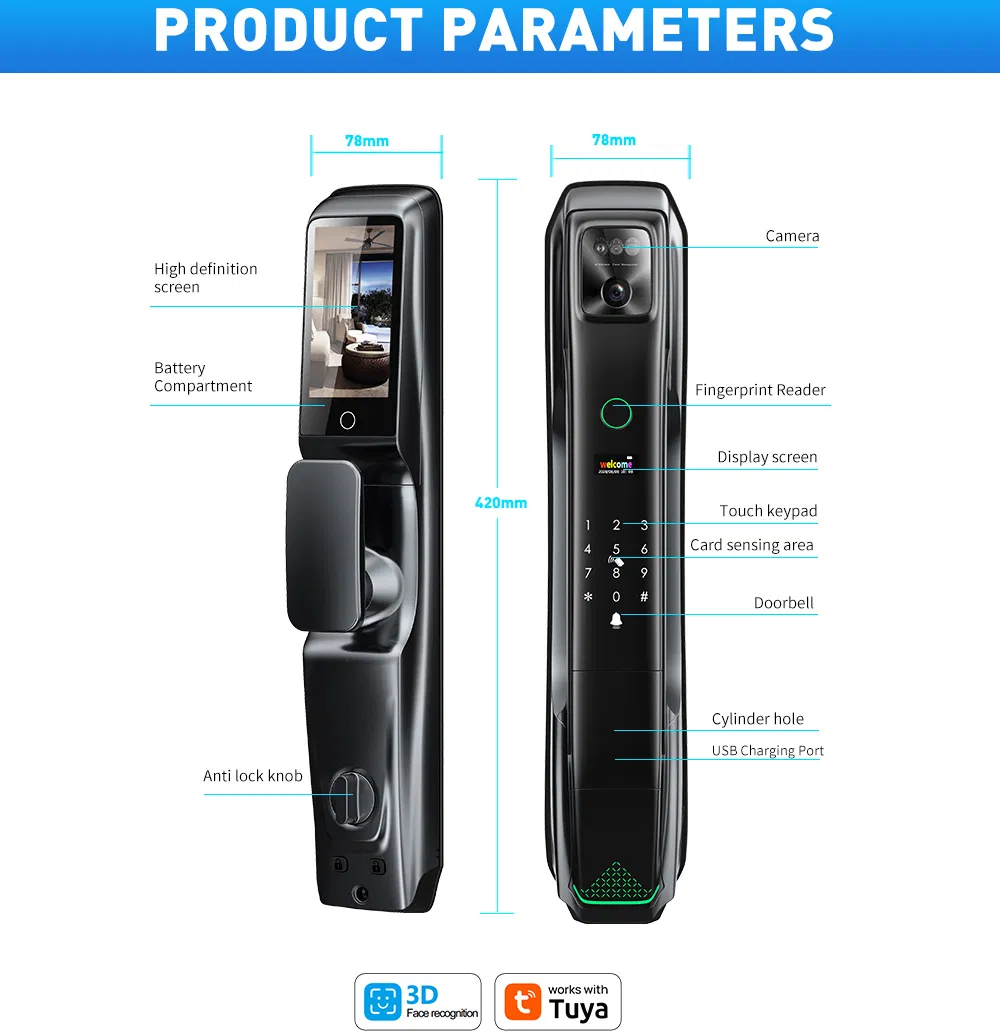 2024 New Product 6085 Mortise Luxury Matt Black Automatic 9 Languages 3D Face Recognition Smart Door Lock
