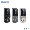 Electronic Fingerprint WiFi Tuya Code RFID Card Smart Door Lock