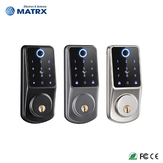 Electronic Fingerprint WiFi Tuya Code RFID Card Smart Door Lock