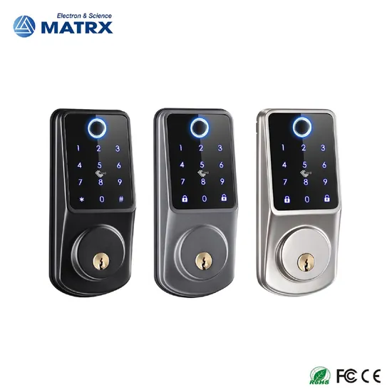 Electronic Fingerprint WiFi Tuya Code RFID Card Smart Door Lock