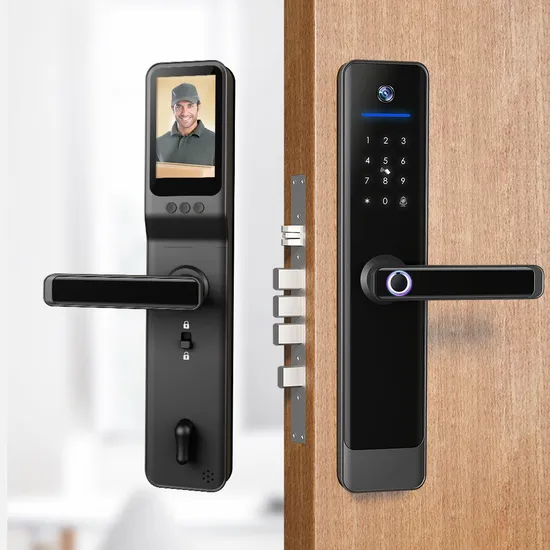 Fingerprint Tuya Smart Digital Electronic Door Lock with Built-in Camera