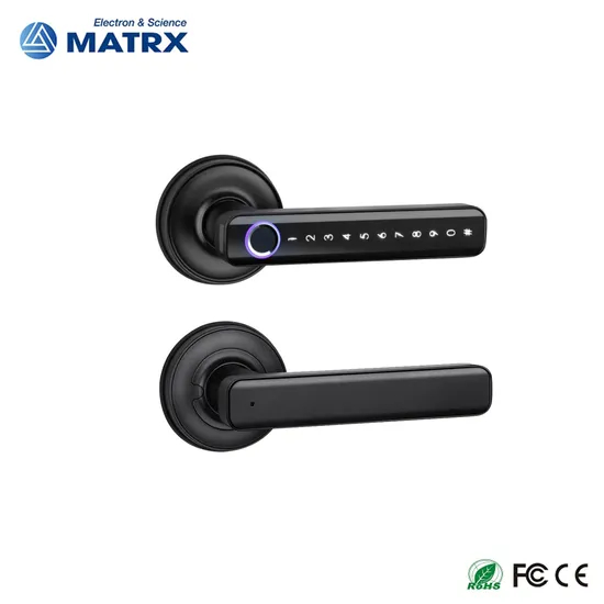Wireless Key Card RFID Unlock Digital Tt Lock Safe Keyless Electronic Smart Door Fingerprint Handle Lock