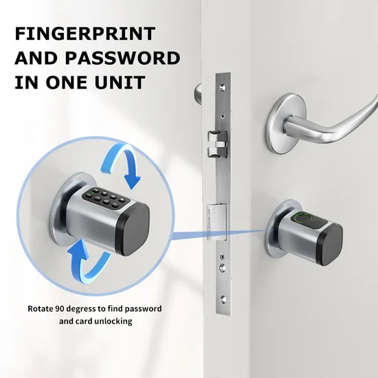 Digital Biometric Fingerprint and Password Intelligent Cylinder Smart Lock with Ttlock APP