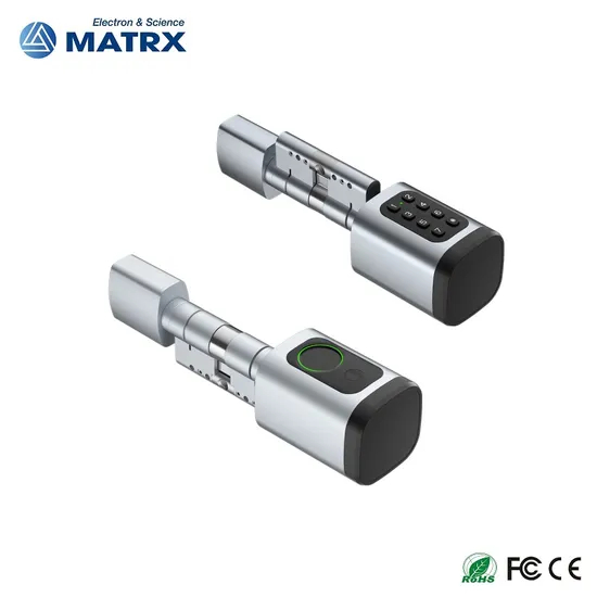 Digital Biometric Fingerprint and Password Intelligent Cylinder Smart Lock with Ttlock APP