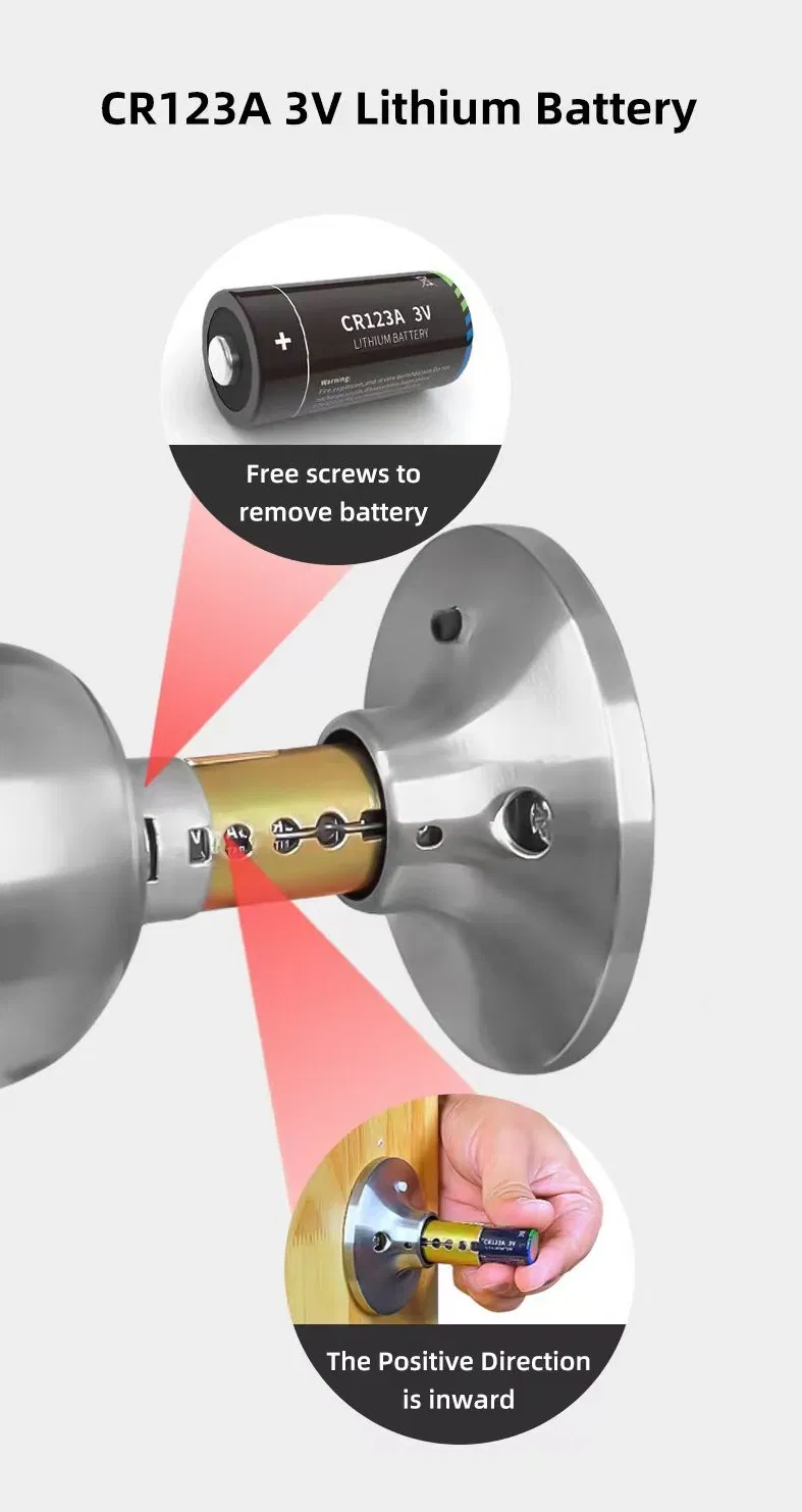 2025 New Model Tuya APP Fingerprint Digital Round Knob Ball Door Lock