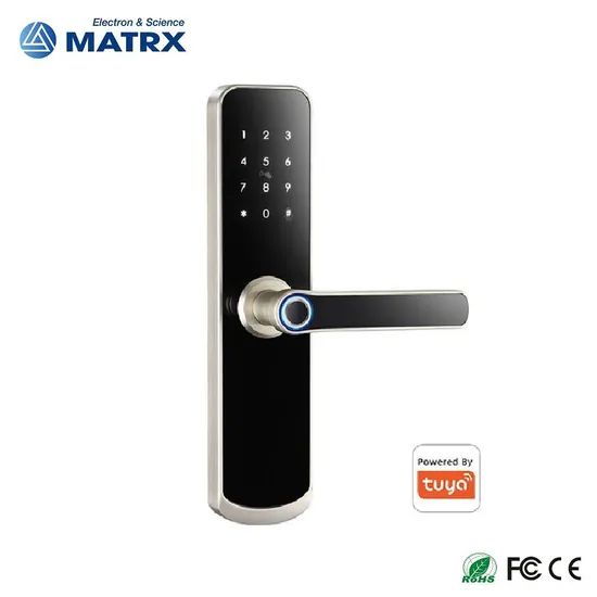 Biometric Updated Stock Elegent Door Gate Tuya WiFi Smart Lock