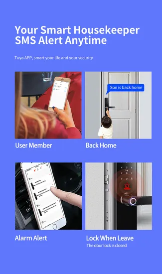 Biometric Updated Stock Elegent Door Gate Tuya WiFi Smart Lock