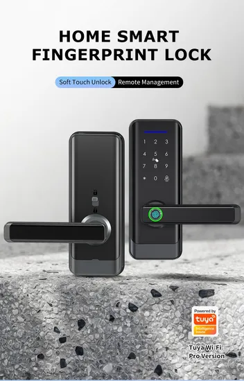 Smart Digital Handle Lock with Fingerprint Password and Tuya Function