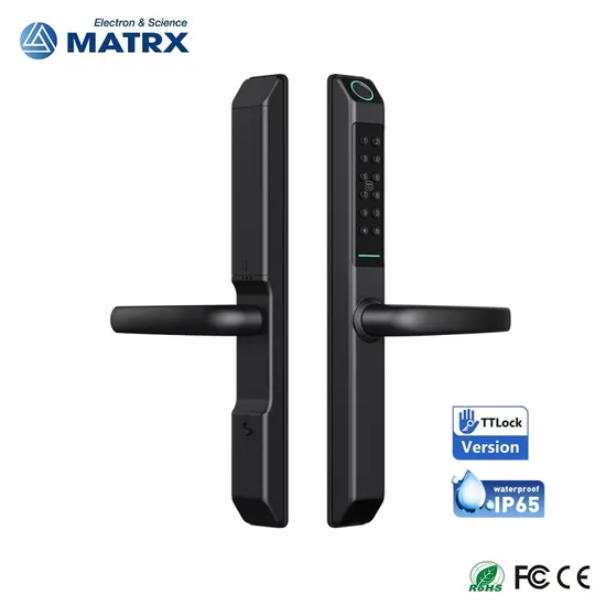 Glass Door and Wooden Door Pull Handle Electronic Security Lock Ttlock Smart Door Lock