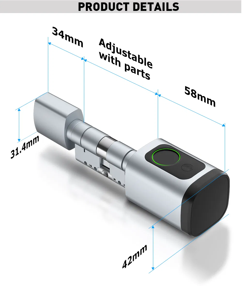 Digital Biometric Fingerprint and Password Intelligent Cylinder Smart Lock with Ttlock APP