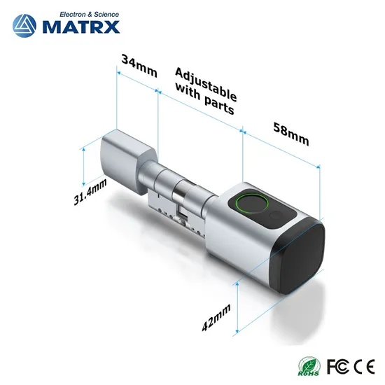 Digital Biometric Fingerprint and Password Intelligent Cylinder Smart Lock with Ttlock APP
