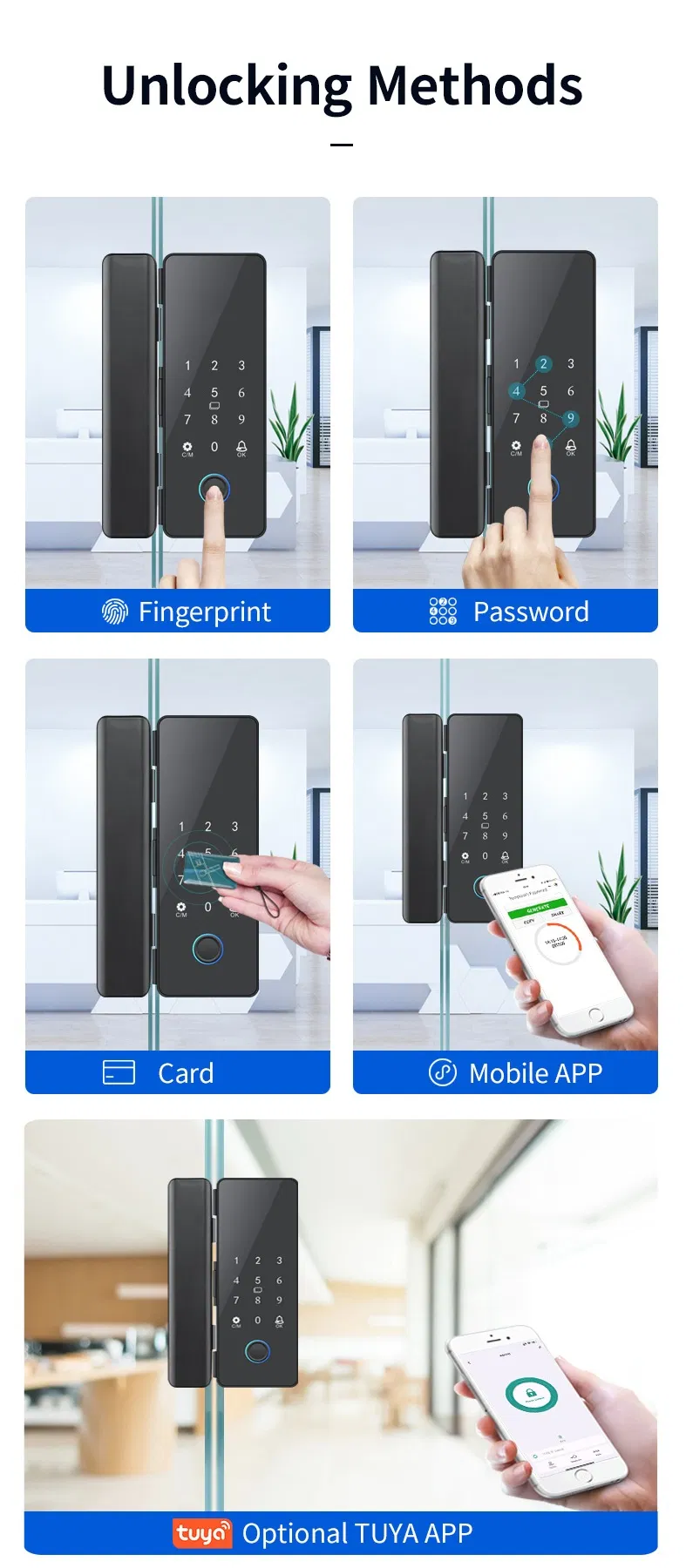 Tuya - System Smart Glass Door Lock with Password and Fingerprint Unlocking Functions
