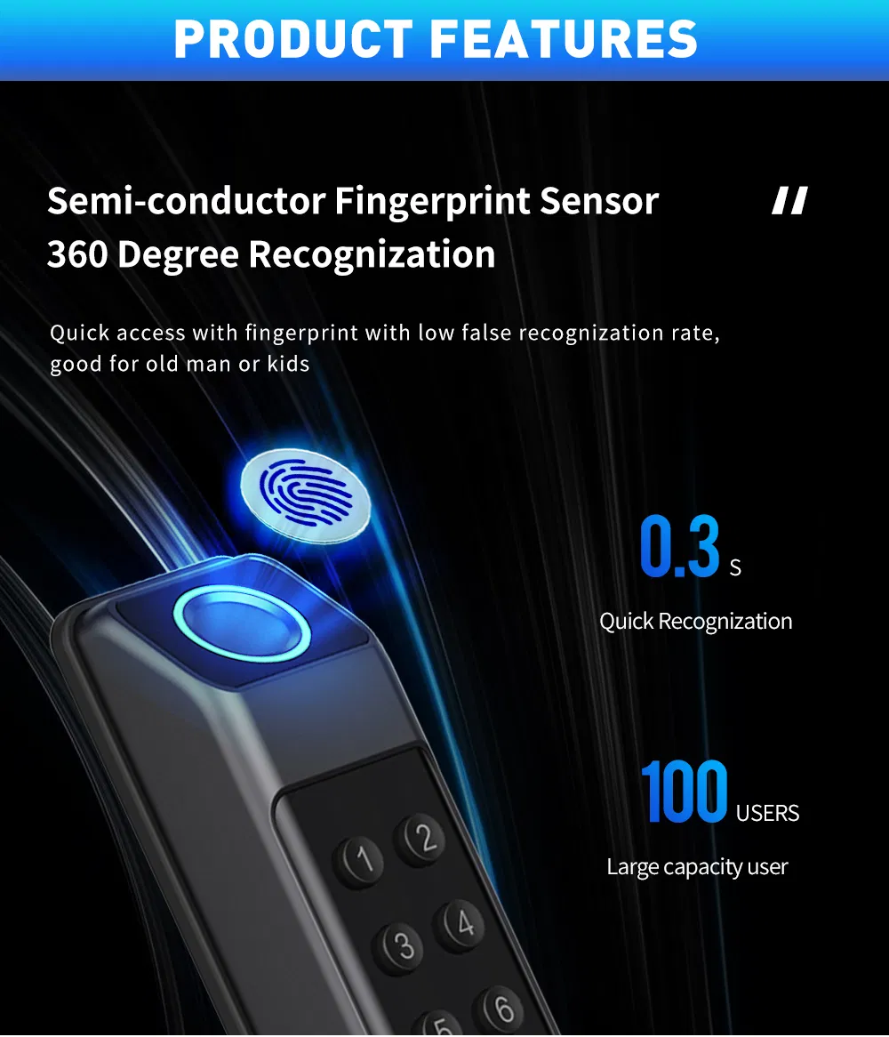 Glass Door and Wooden Door Pull Handle Electronic Security Lock Ttlock Smart Door Lock