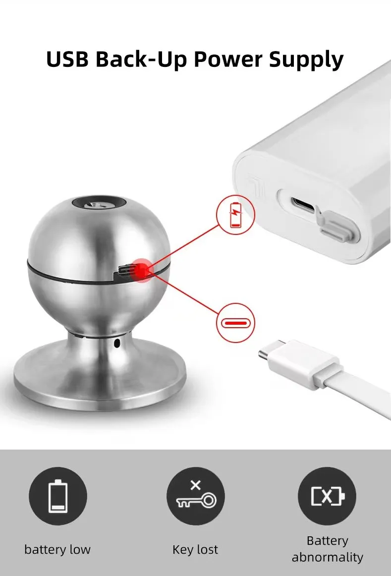 2025 New Model Tuya APP Fingerprint Digital Round Knob Ball Door Lock