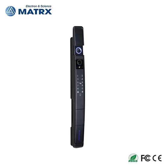 2024 New Product 3D Face Recognition Cat's Eye Camera Fingerprint Video Calling Remote Visual Intercom Smart Door Lock