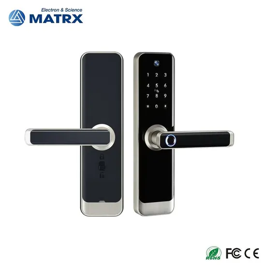Tuya Smart Electronic Lock with Camera Electronic Cat Eye