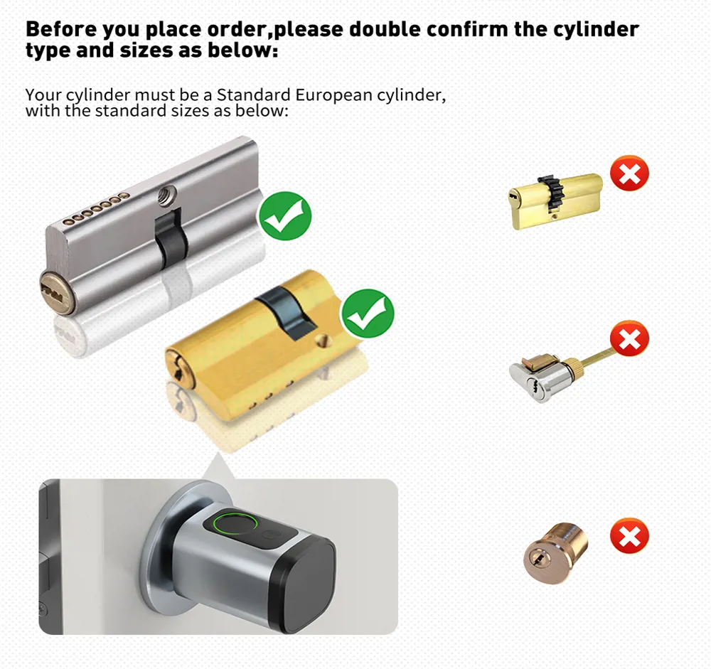 Digital Biometric Fingerprint and Password Intelligent Cylinder Smart Lock with Ttlock APP
