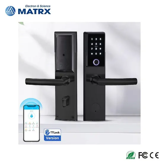 Fingerprint Ttlock Electronic Digital Lock
