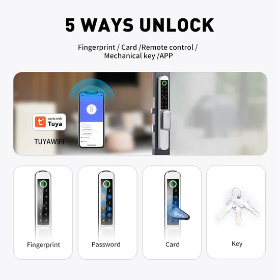 IP65 Double-Sided Fingerprint Stainless Steel Smart Lock with Tuya System