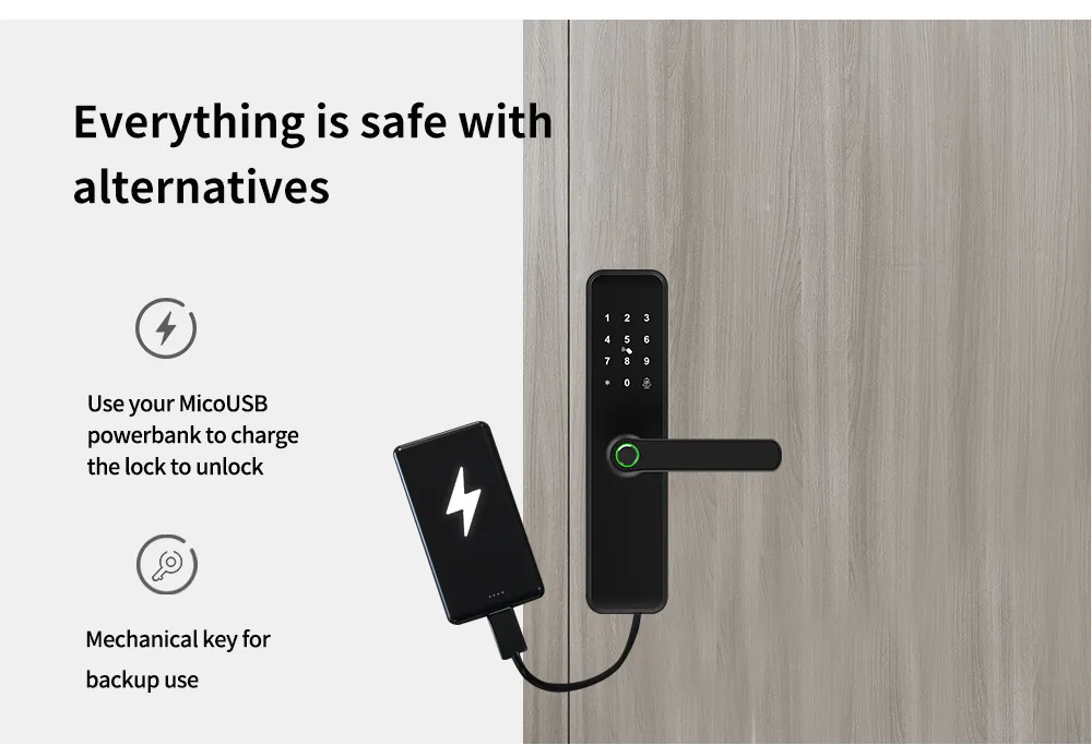 WiFi Fingerprint Handle Door Lock Long Distance Control Electronic Tuya APP
