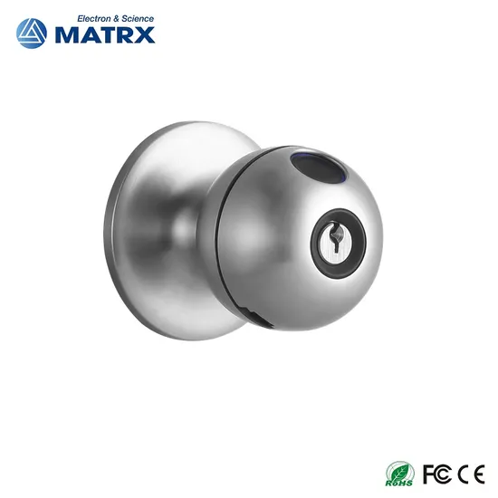 2025 New Model Tuya APP Fingerprint Digital Round Knob Ball Door Lock